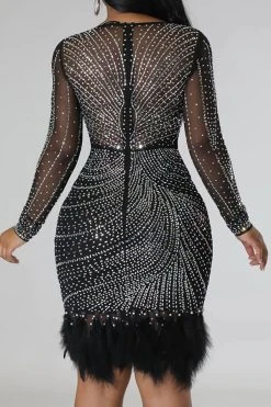 Rhinestone Pretty See-Through Feather Hem Mini Dress -Clothing-PrettyTina H23022348 BK 4