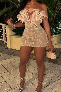 Feather Decor Luxe Rhinestone Mini Dress -Clothing-PrettyTina H23051813 AP 2